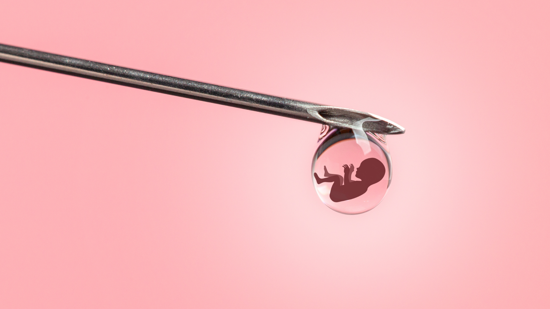 How Does In Vitro Fertilization Work?