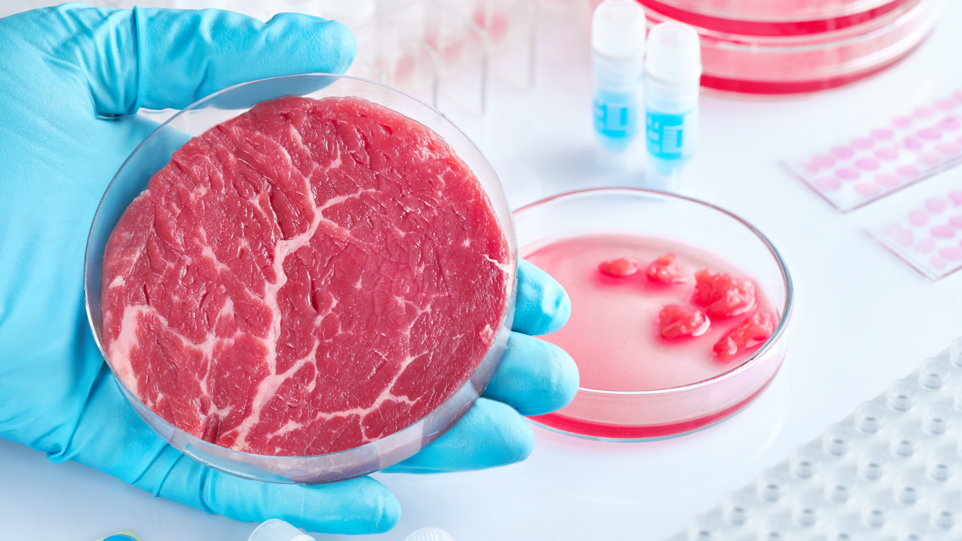 How Is Lab Grown Meat Produced?