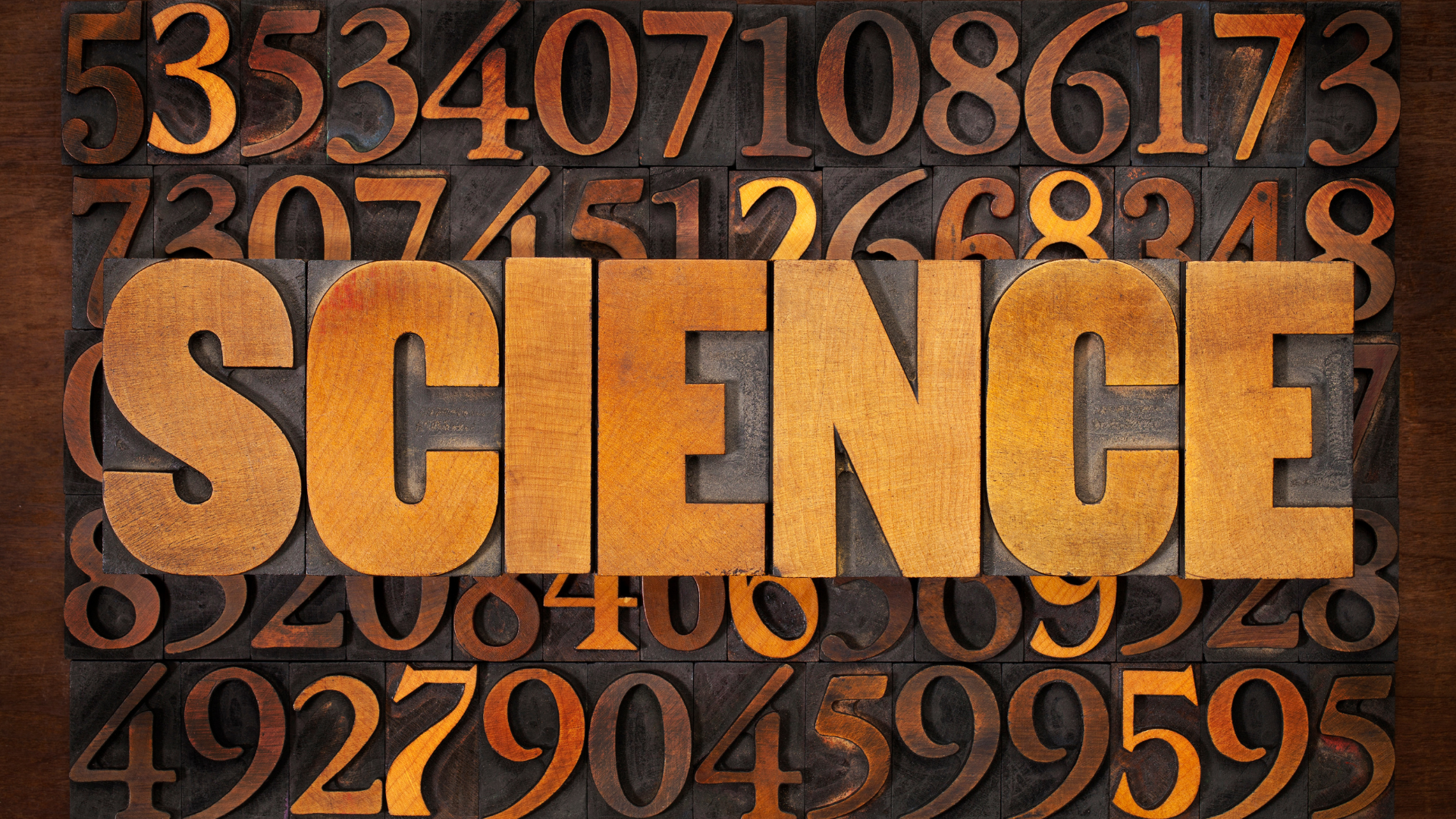 What Are The 5 Branches of Science?